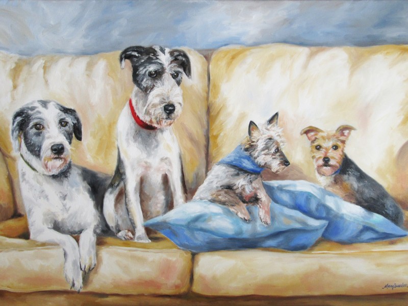 dog pet portrait oil painting