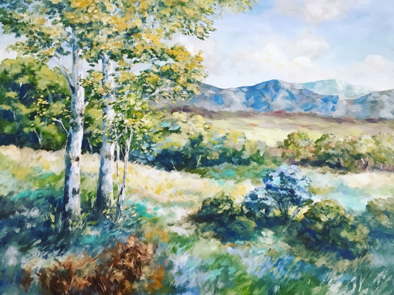 colorado landscape acrylic painting